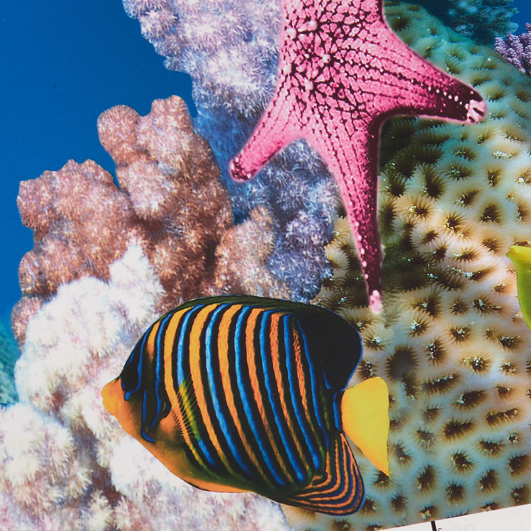 Aquarium Fish Wallpaper Hd - Carta da Parati per Acquario ABWR,
