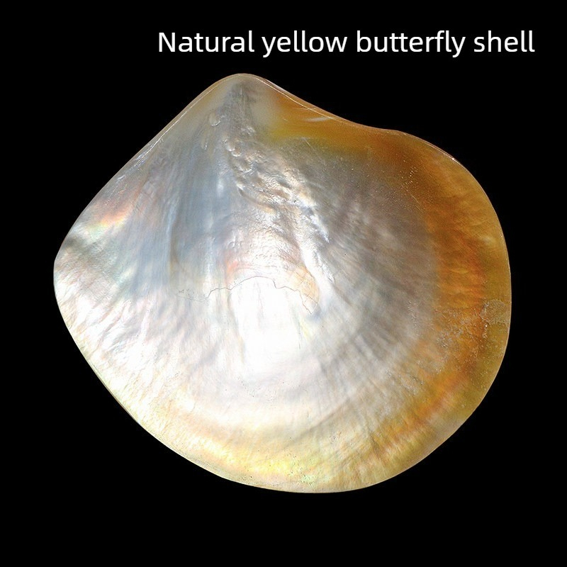 Aquarium Fish Yellow - Collezione di Conchiglie Beibei Gialle Naturali