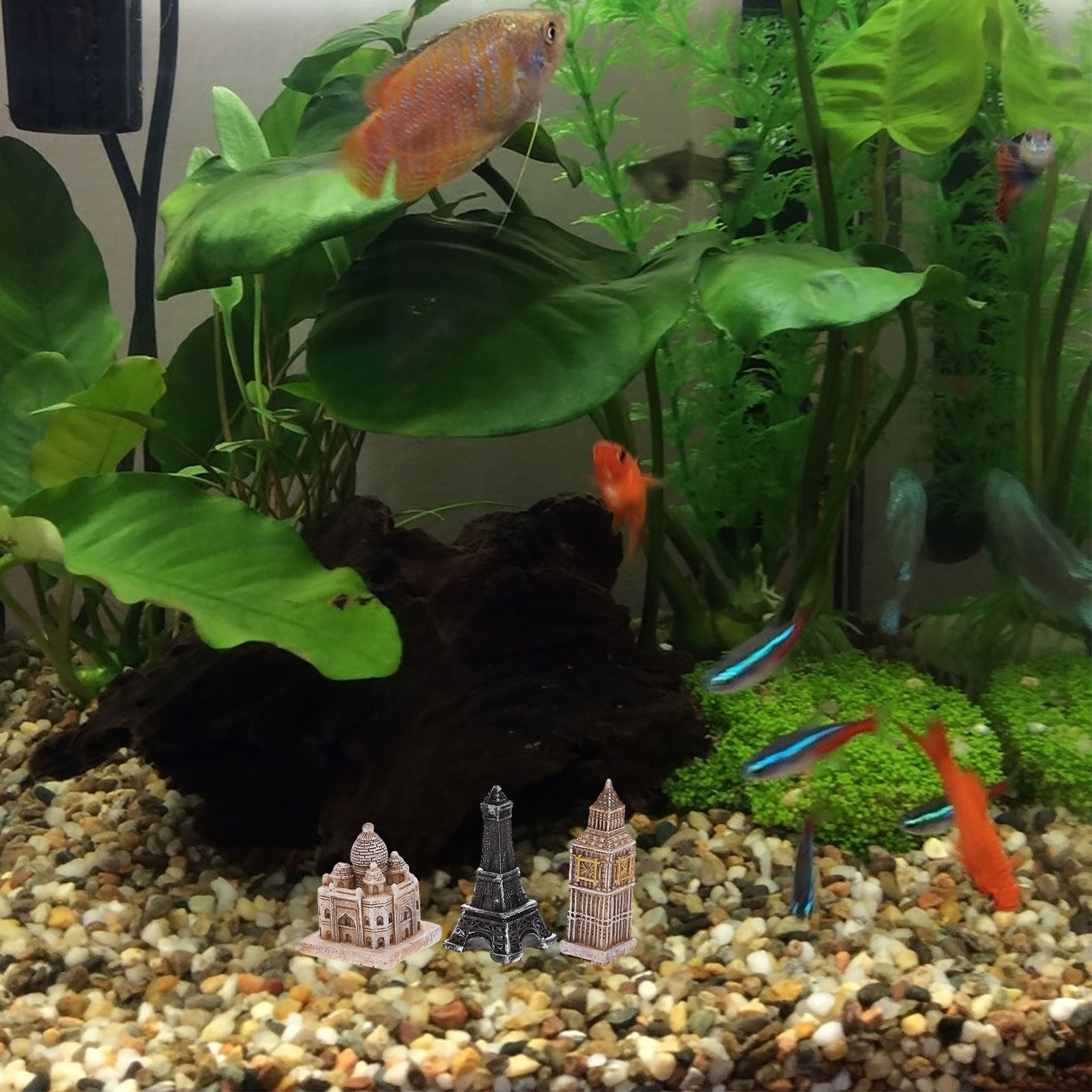 Aquarium Fishes - Set di 7 Statuette Romane in