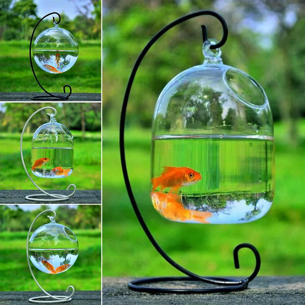 Aquarium Fish Names - Decorazione da parete per acquario con