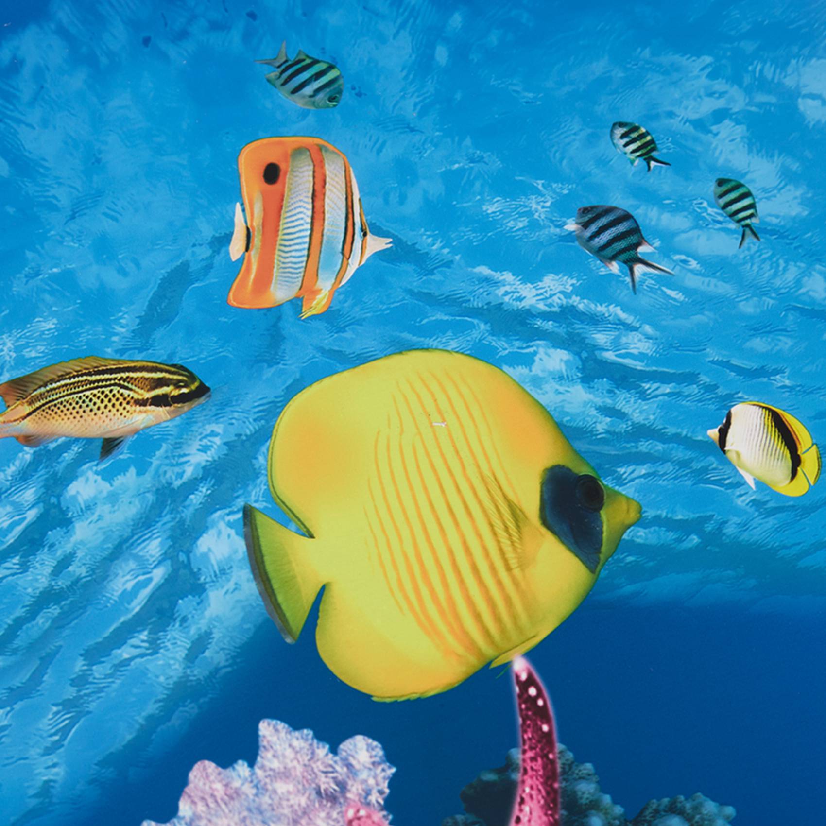 Aquarium Fish Wallpaper Hd - BAAU Acquario Sfondo Carta Immagine HD