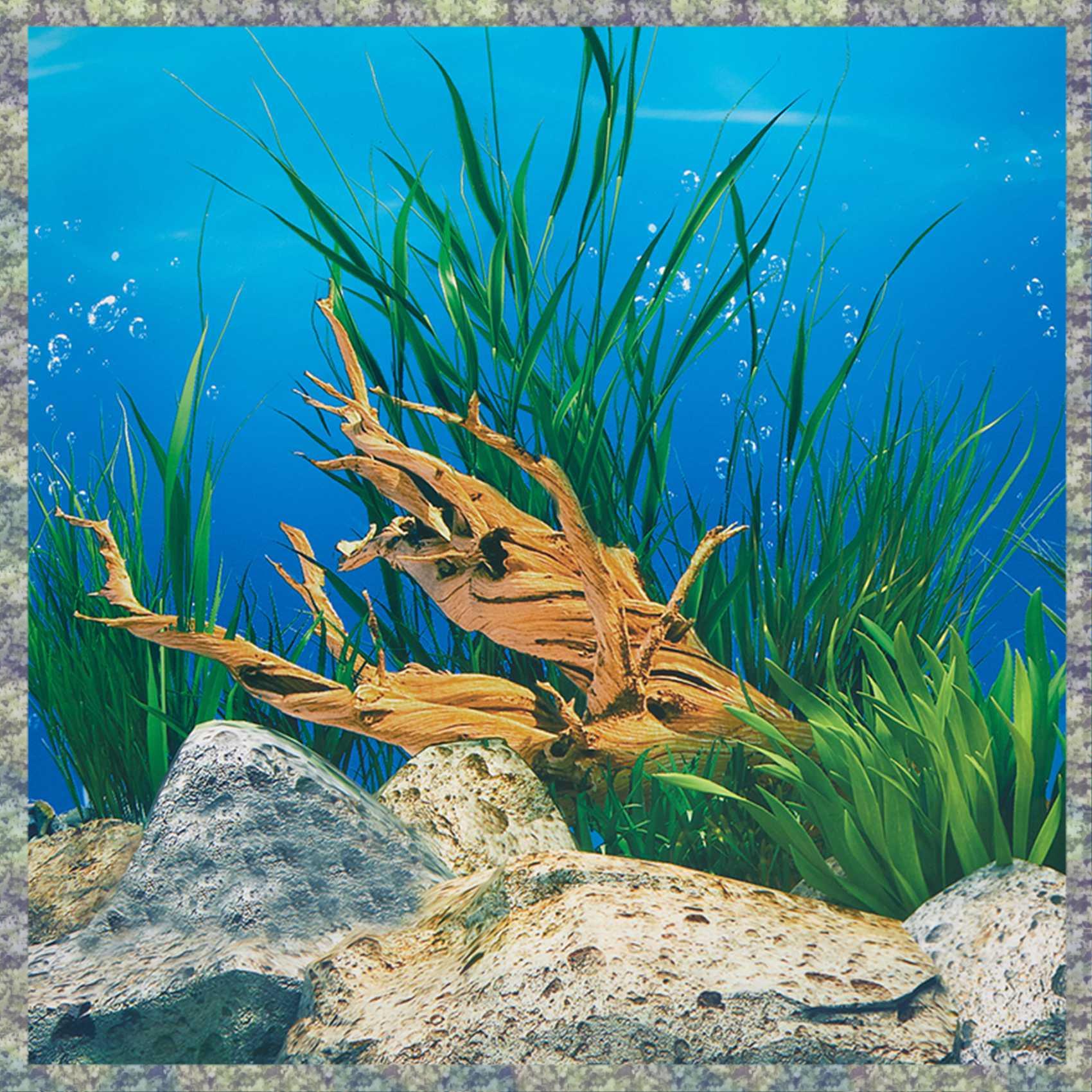 Aquarium Fish Wallpaper Hd - WON Acquario Sfondo Carta Immagine HD