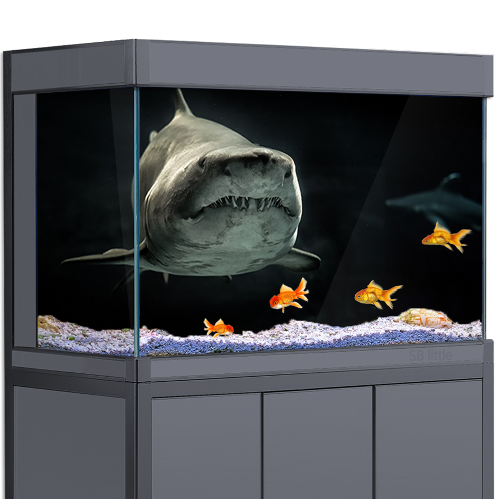 Aquarium Fish Wallpaper Hd - Sfondo dell'acquario 3D Shark Black Dark