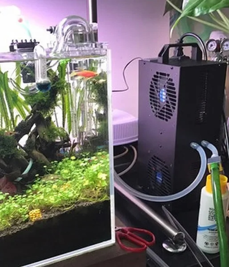 Frigorifero a semiconduttore r - Aquarium Fish Small recensione e prezzo