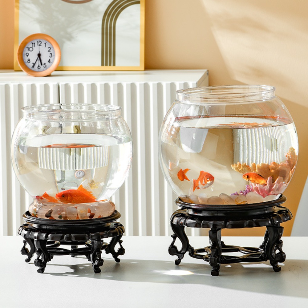 Acquario da tavolo rotondo tra - Aquarium Fish Names recensione e prezzo