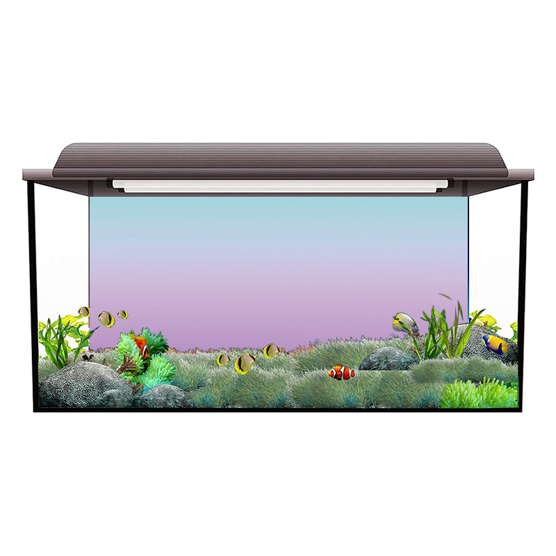 Adesivo per sfondo acquario, c - Aquarium Fish Wallpaper Hd recensione e prezzo