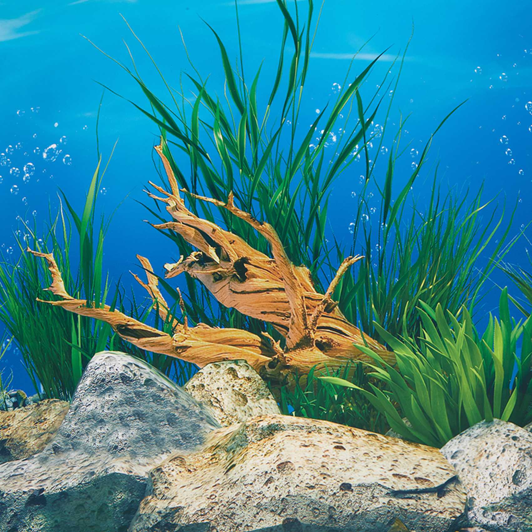 Carta da Parati per Acquario A - Aquarium Fish Wallpaper Hd recensione e prezzo