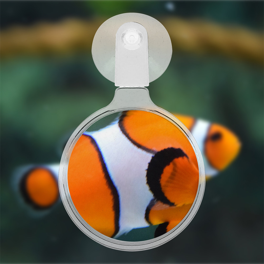2 Pezzi Lente d'Ingrandimento  - Aquarium Fish Store recensione e prezzo