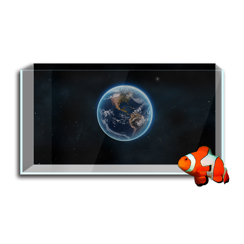 Adesivo per sfondo acquario pe - Aquarium Fish Wallpaper Hd recensione e prezzo