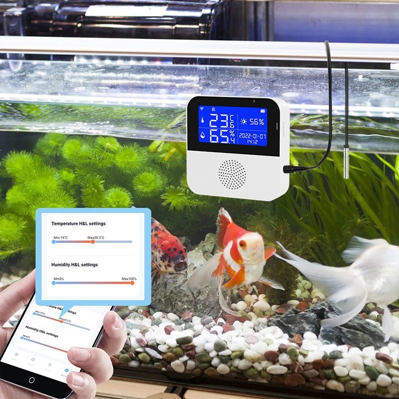 WiFi Tuya Smart Life Display a - Live Fish Aquarium recensione e prezzo