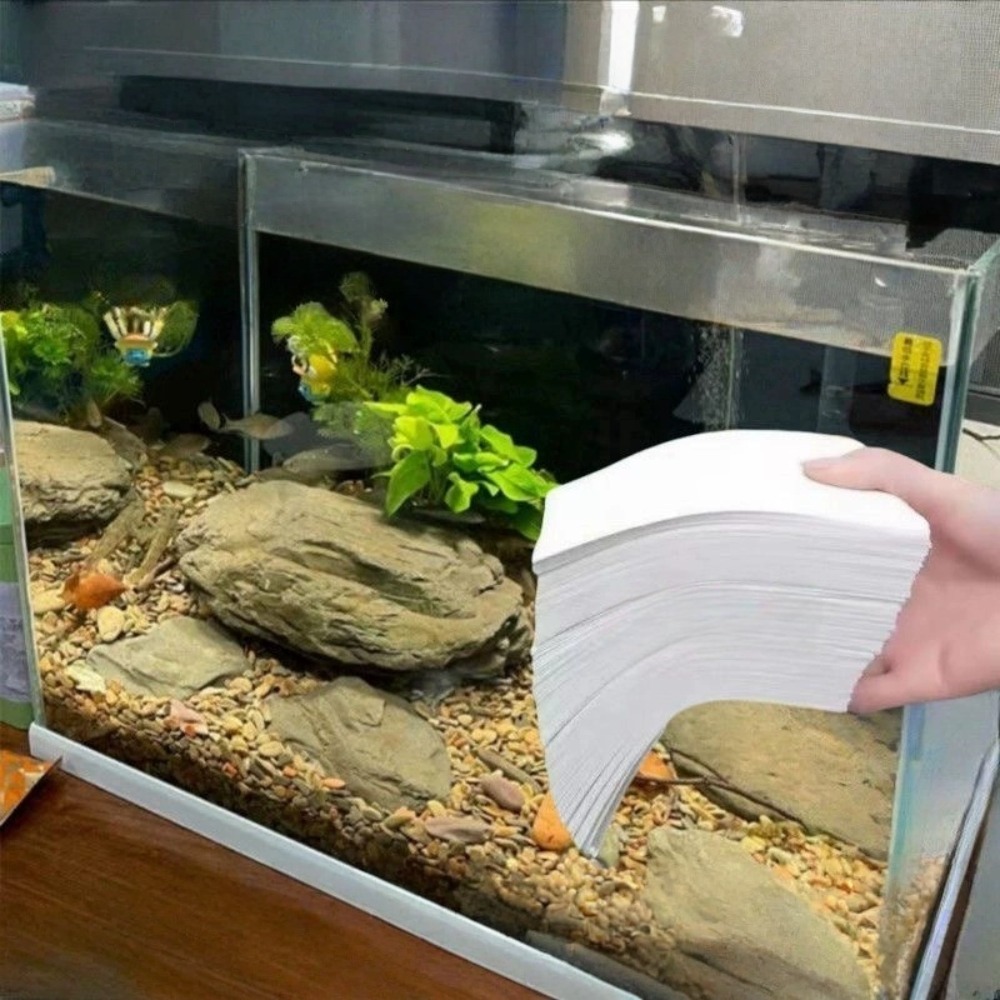 50 Pezzi di Carta Filtrante Mu - Aquarium Fish Yellow recensione e prezzo