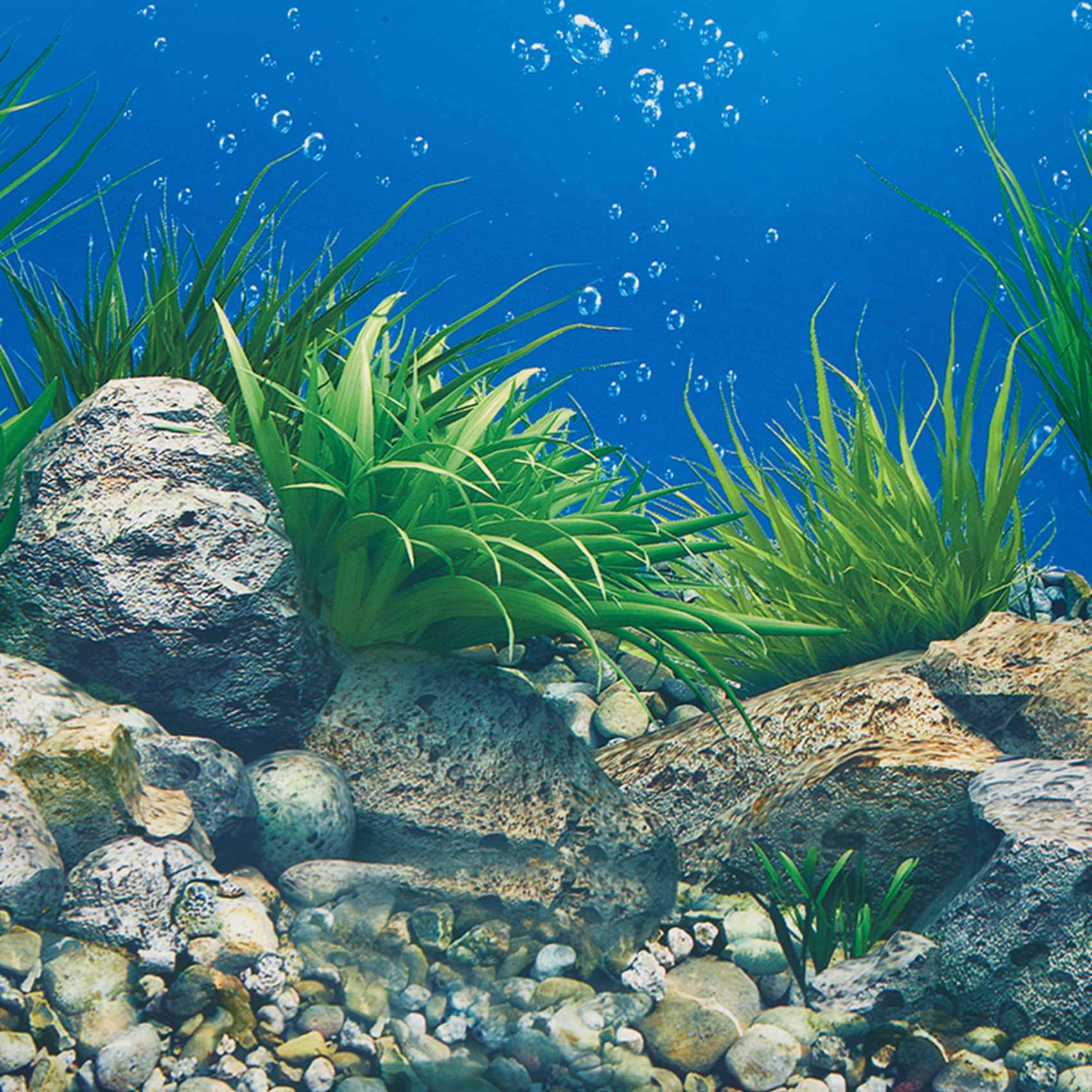 A77I Acquario Sfondo Carta Imm - Aquarium Fish Wallpaper Hd recensione e prezzo