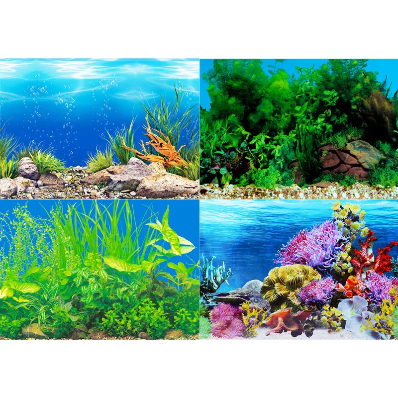 Adesivo sfondo acquario pittur - Aquarium Fish Wallpaper Hd recensione e prezzo