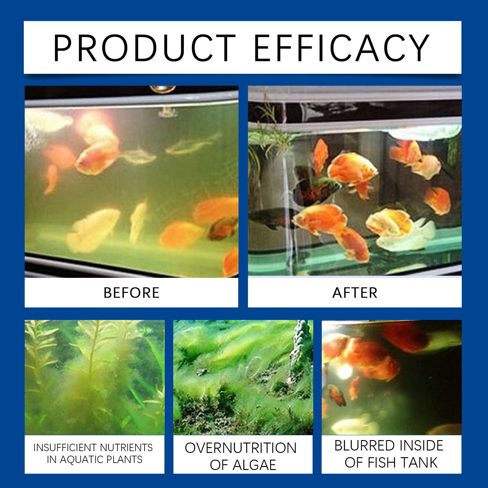 Chiarificatore d'acqua per acq - Aquarium Fish Saltwater recensione e prezzo