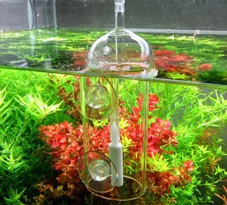 VIV Do Dispositivo Cilindro pe - Aquarium Fish Store recensione e prezzo