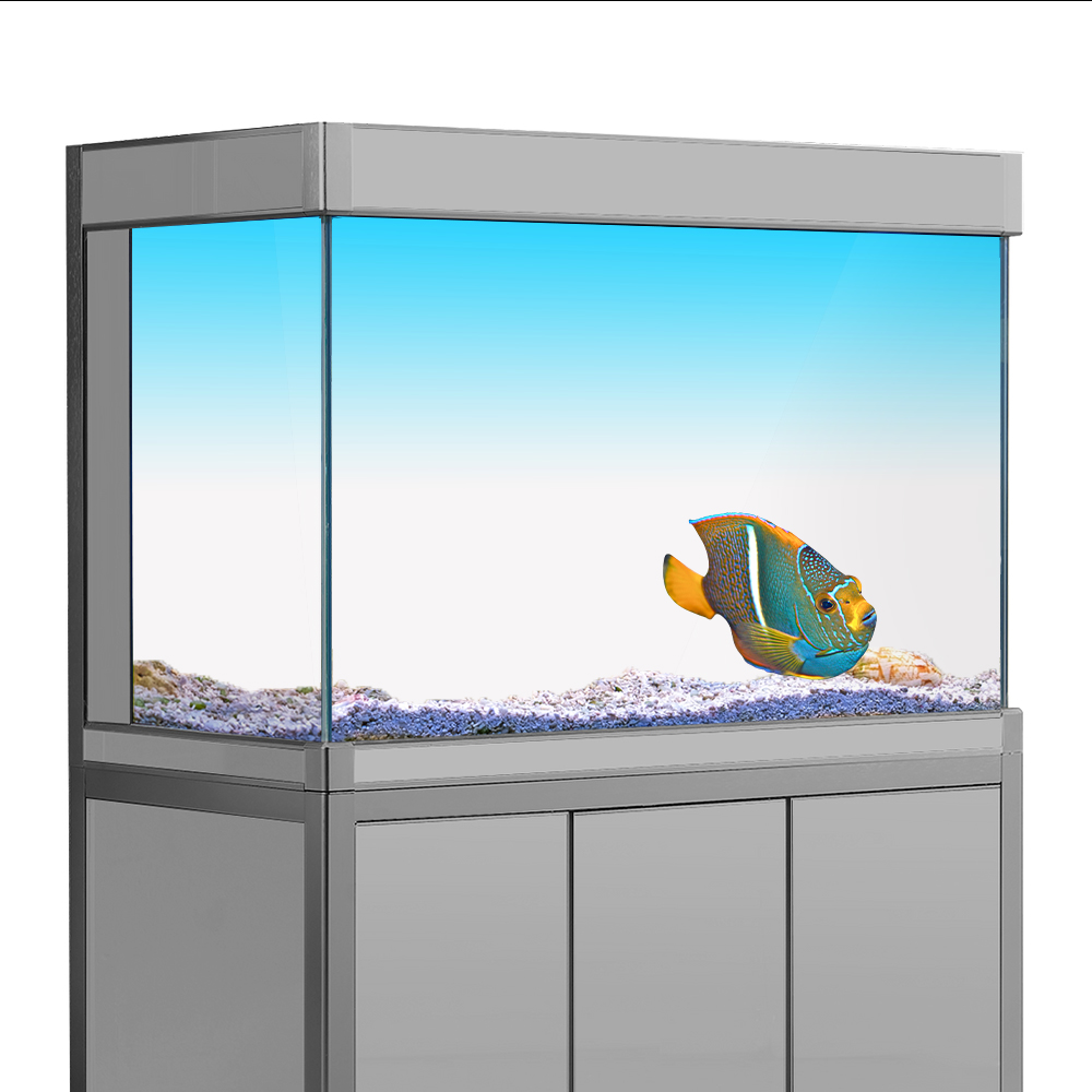 Adesivo per sfondo acquario Bi - Aquarium Fish Yellow recensione e prezzo