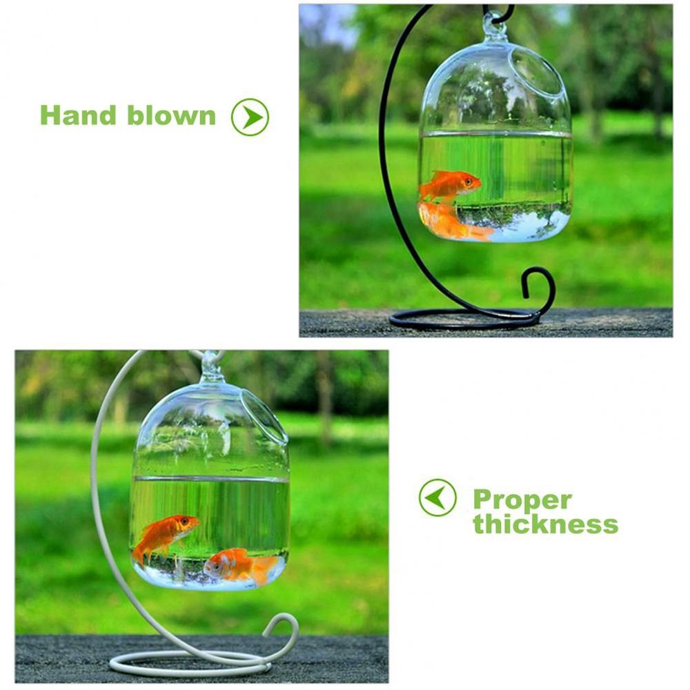 Decorazione da parete per acqu - Aquarium Fish Names recensione e prezzo