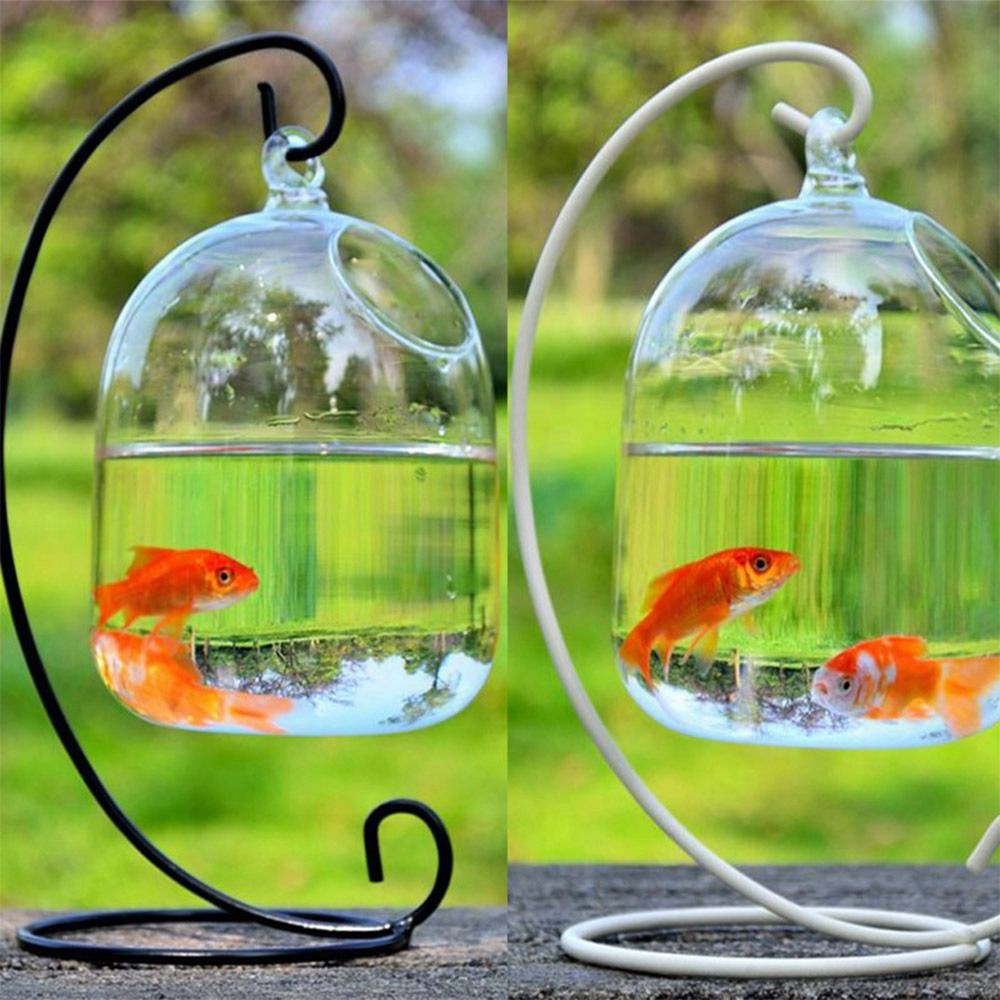 Decorazione da parete per acqu - Aquarium Fish Names recensione e prezzo