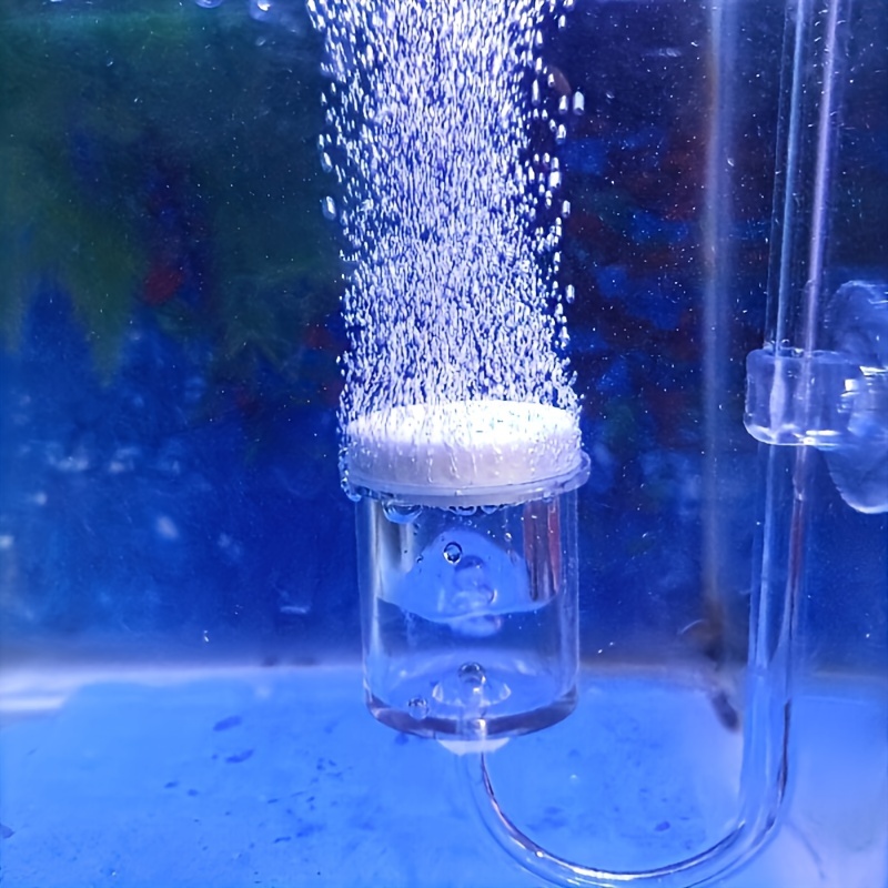 Acquario Vetro CO2 Atomizzator - Aquarium Fish Store recensione e prezzo