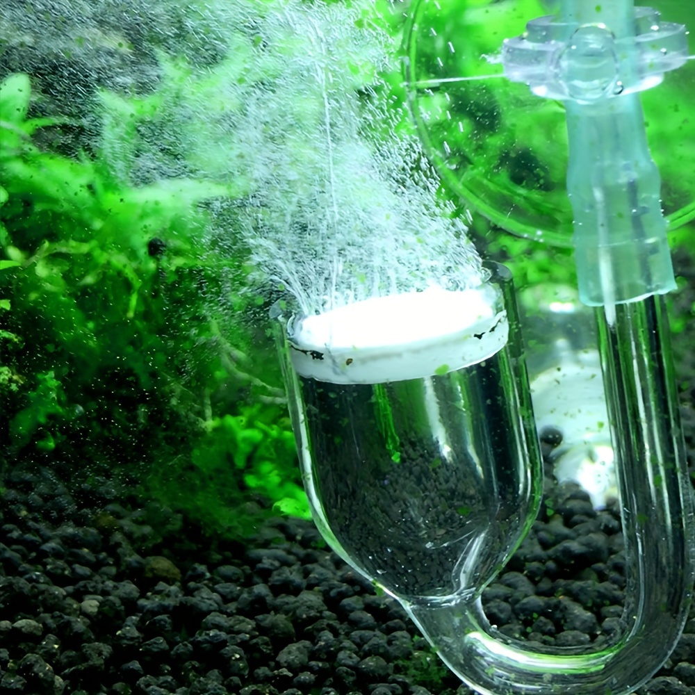 Acquario Vetro CO2 Atomizzator - Aquarium Fish Store recensione e prezzo