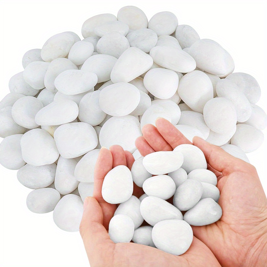 200/400g Bianco Alto Lucido Ci - Aquarium Fish Saltwater recensione e prezzo