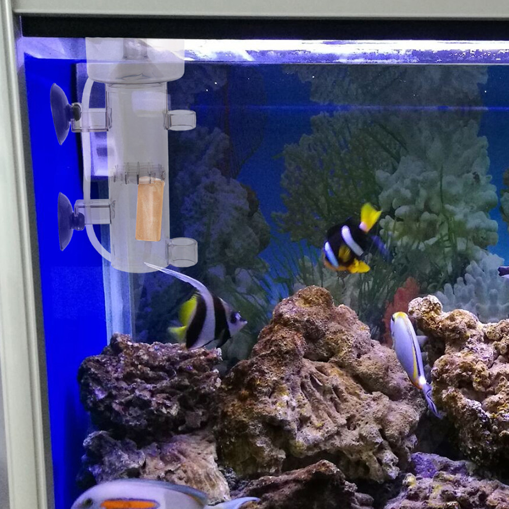 Skimmer di Proteine Interno Mi - Aquarium Fish Saltwater recensione e prezzo