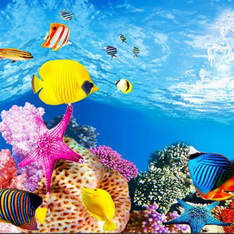 BAAU Acquario Sfondo Carta Imm - Aquarium Fish Wallpaper Hd recensione e prezzo