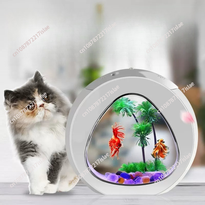 Piccolo Acquario da Tavolo in  - Aquarium Fish Small recensione e prezzo