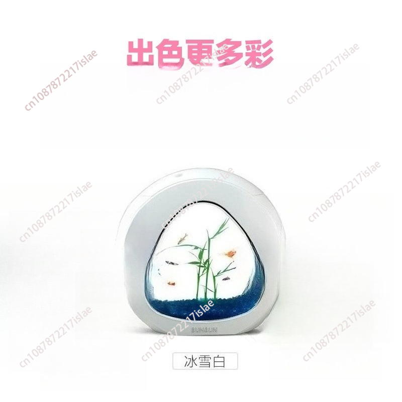 Piccolo Acquario da Tavolo in  - Aquarium Fish Small recensione e prezzo