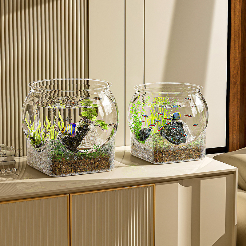 Acquario per acquario traspare - Aquarium Fish Names recensione e prezzo