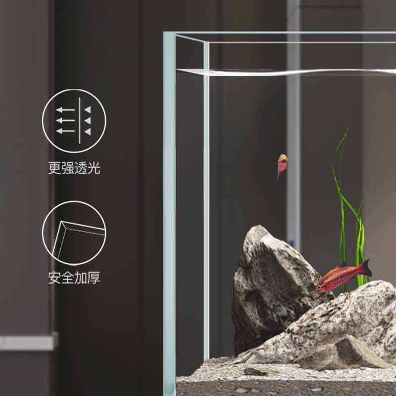 Acquario Minjiang per paesaggi - Live Fish Aquarium recensione e prezzo