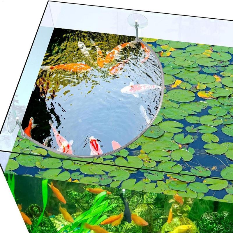 Anello di alimentazione per pe - Aquarium Fish Store recensione e prezzo
