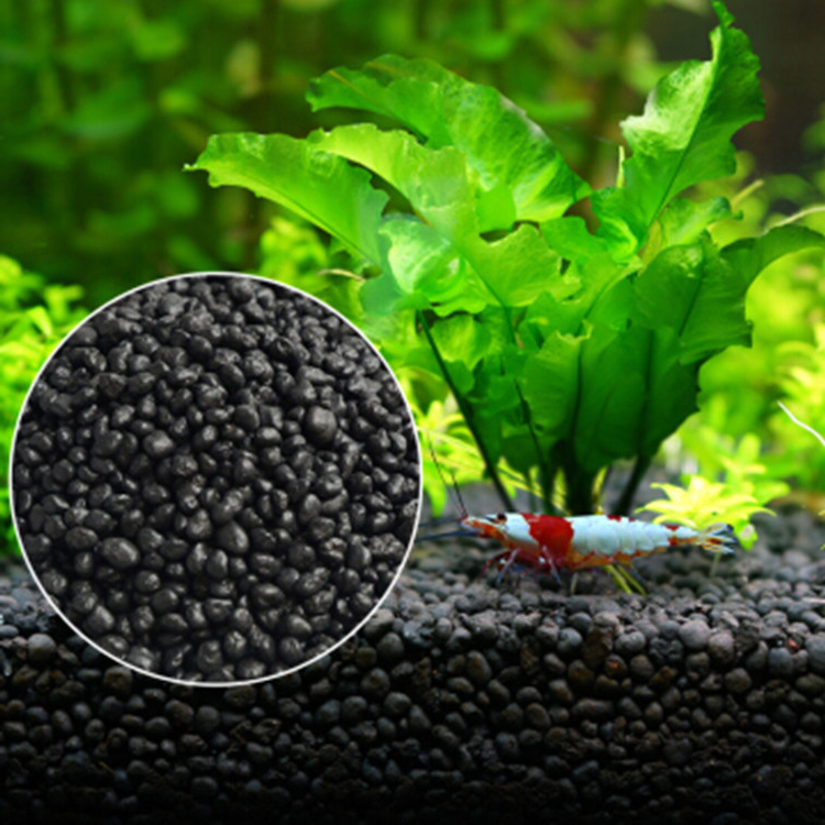 Acquario semi di piante terren - Aquarium Fish Store recensione e prezzo