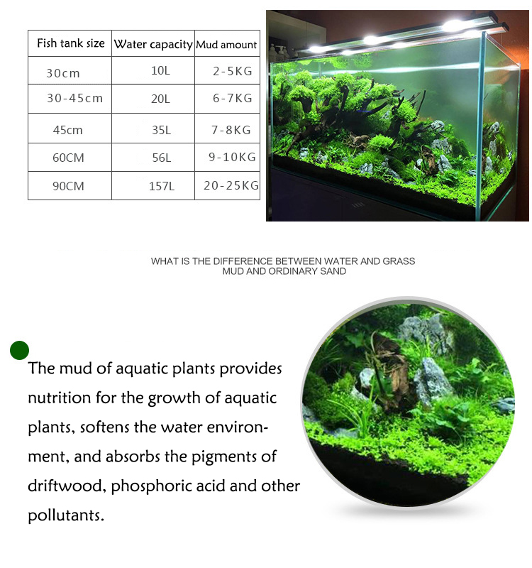 Acquario semi di piante terren - Aquarium Fish Store recensione e prezzo