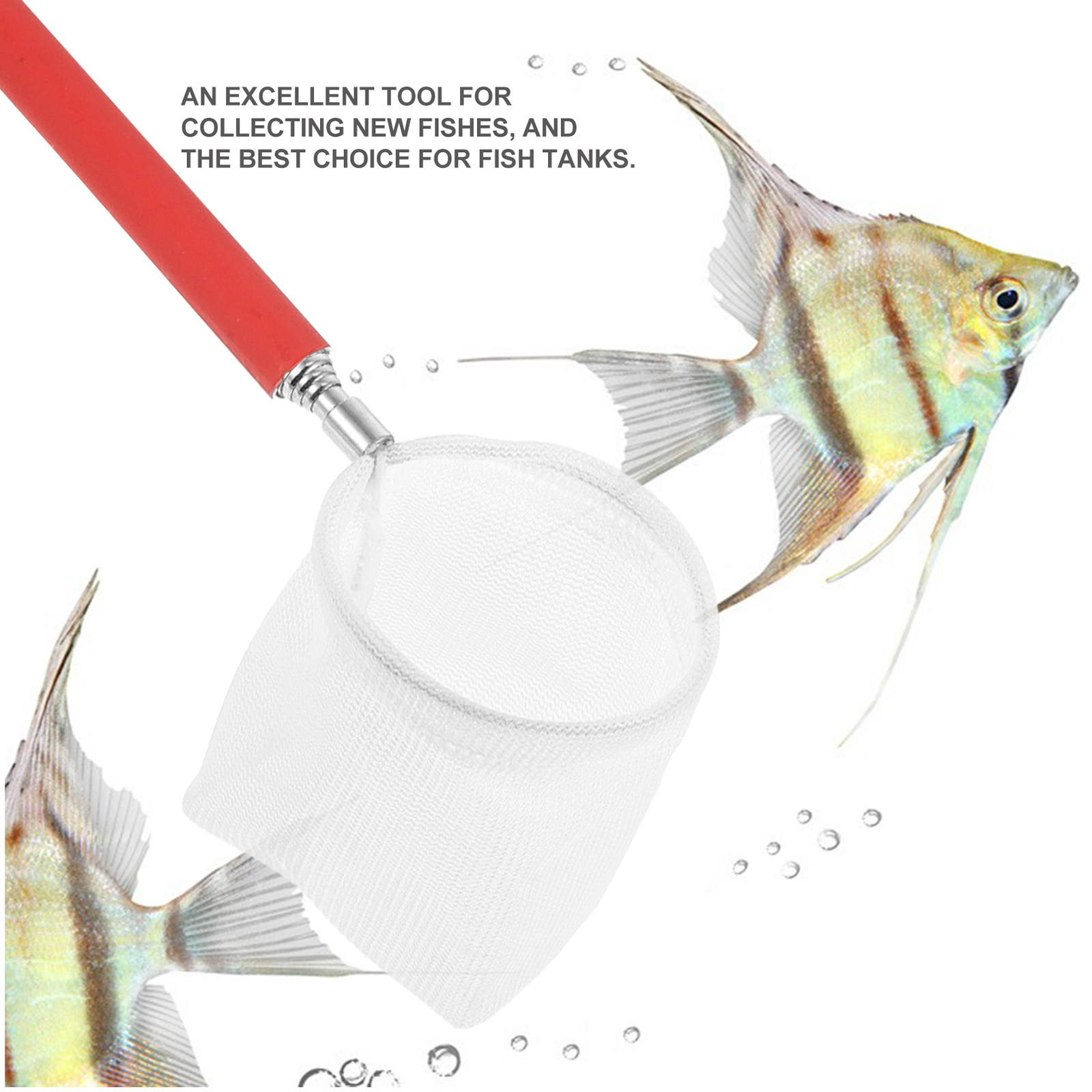 Rete Telescopica in Acciaio In - Aquarium Fish Yellow recensione e prezzo