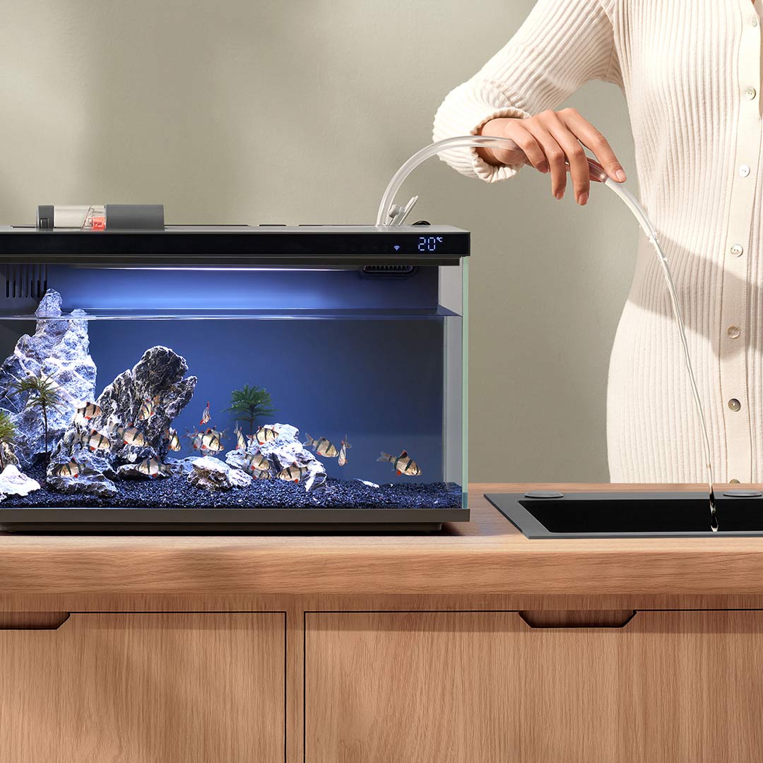 Xiaomi Mijia Smart Fish Tank M - Xiaomi Aquarium Fish Tank recensione e prezzo