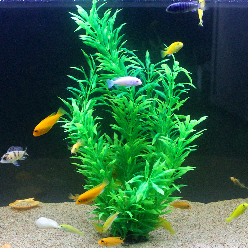 50CM Acquario artificiale Pian - Aquarium Fish Saltwater recensione e prezzo