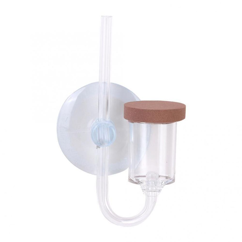 Mini acquario acrilico Pianta  - Live Fish Aquarium recensione e prezzo