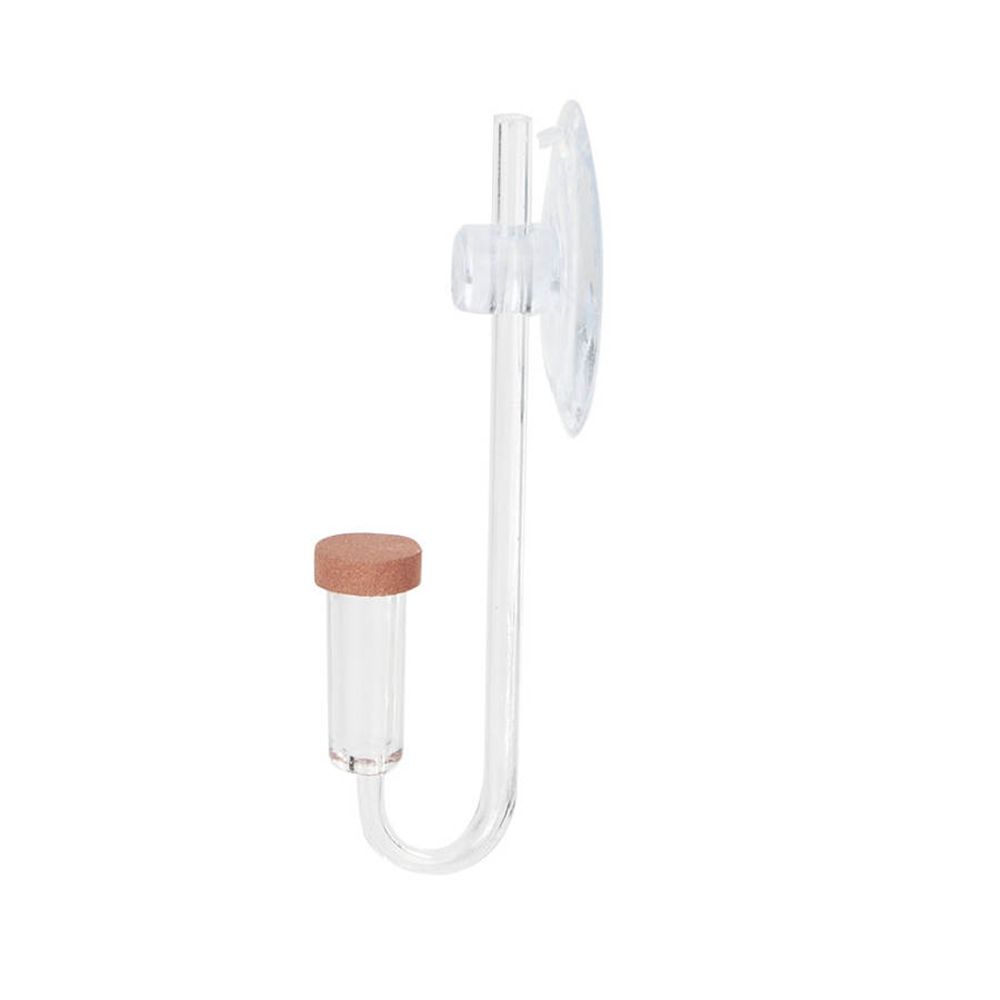 Mini acquario acrilico Pianta  - Live Fish Aquarium recensione e prezzo