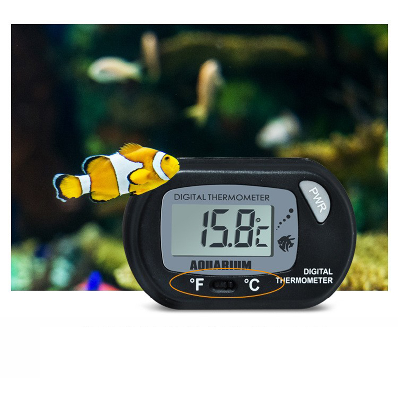 Termometro digitale per acquar - Aquarium Fish Yellow recensione e prezzo