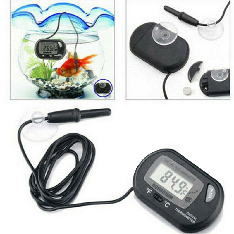 Termometro digitale per acquar - Aquarium Fish Yellow recensione e prezzo
