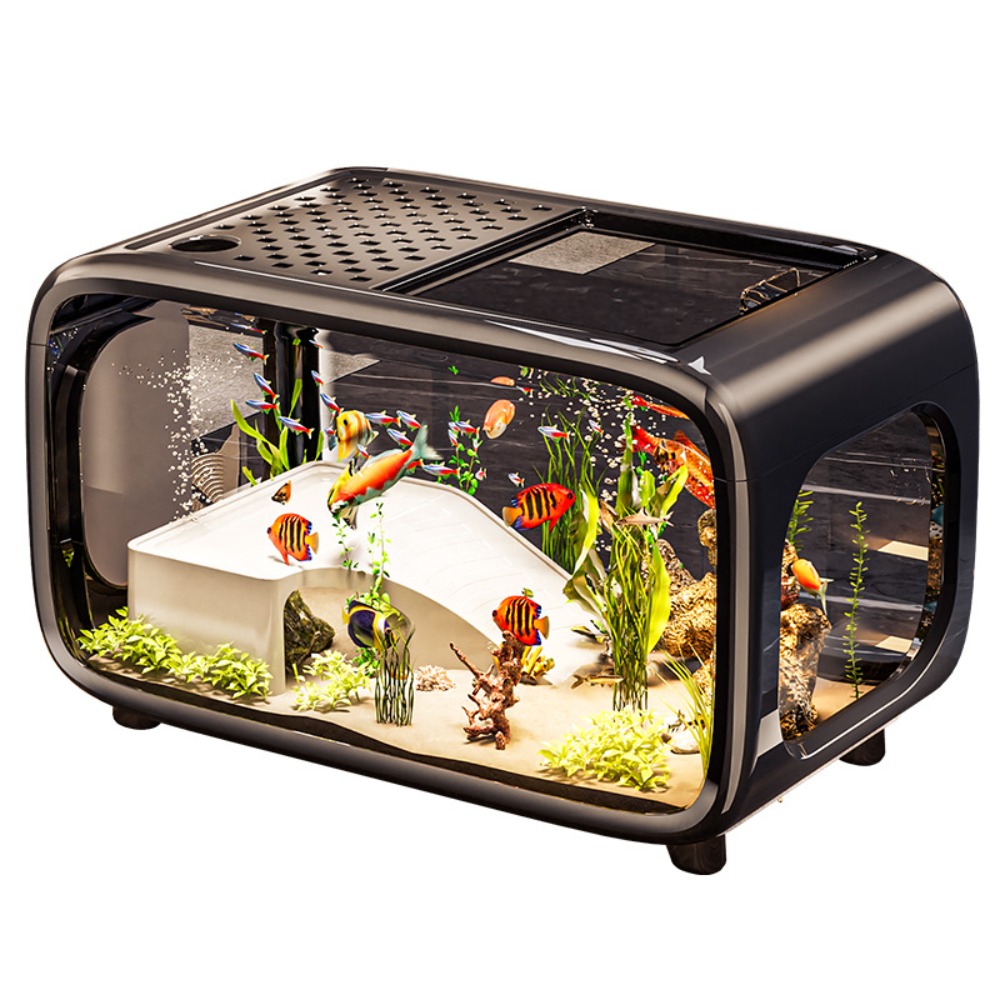 Acquario Ecologico Trasparente - Live Fish Aquarium recensione e prezzo