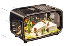 Acquario Ecologico Trasparente - Live Fish Aquarium recensione e prezzo