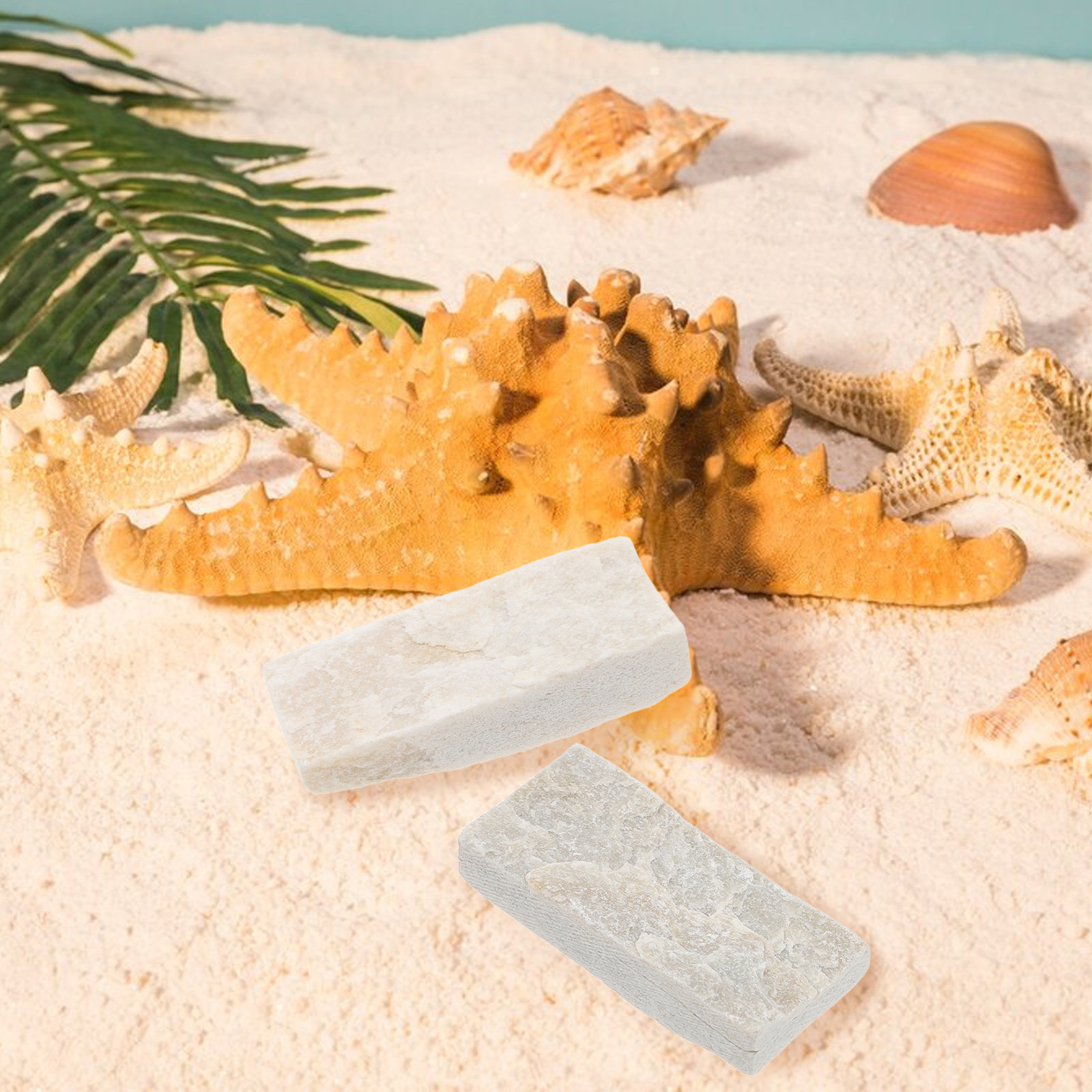 10 Pezzi Rocce Naturali per Ac - Aquarium Fish Small recensione e prezzo