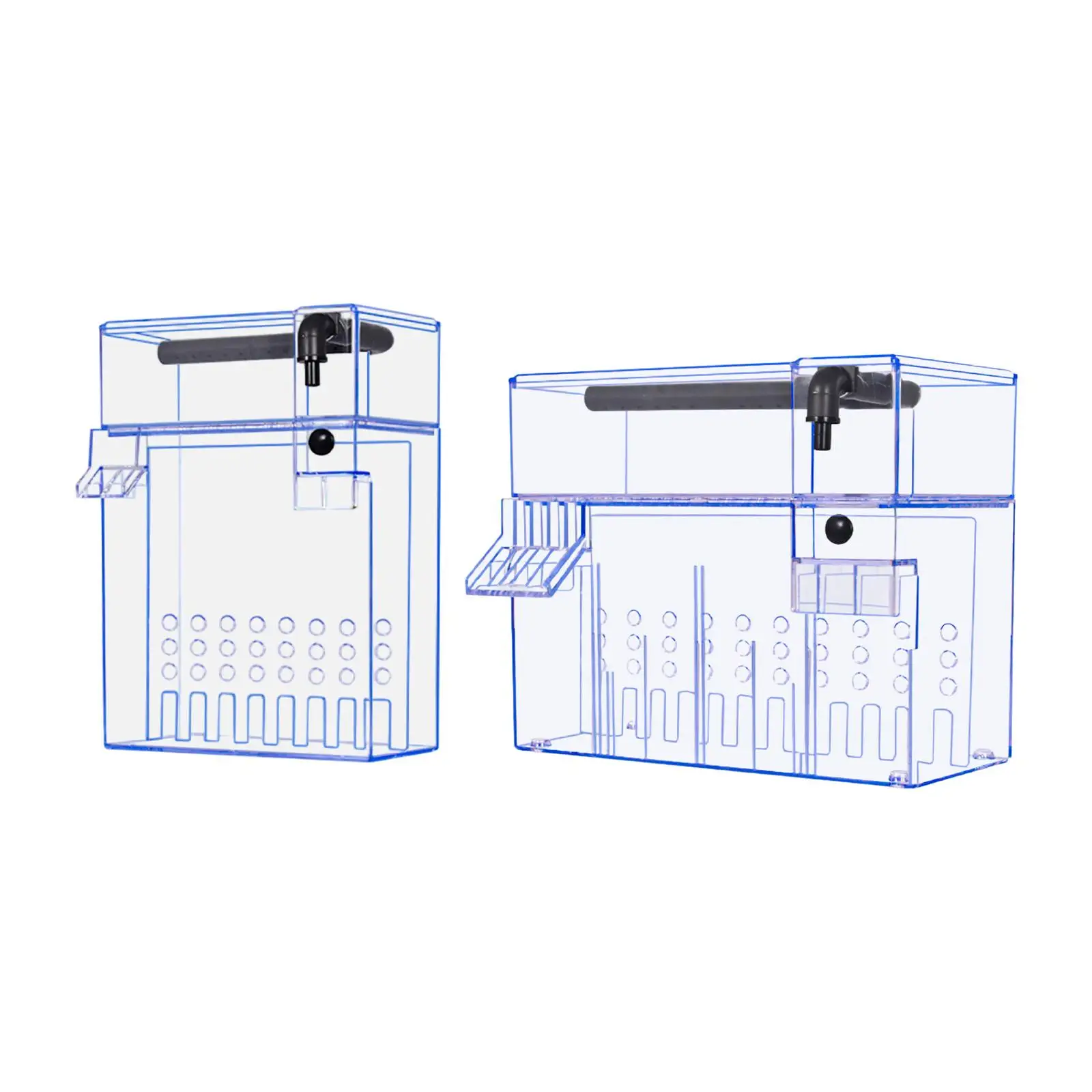 Filtro per Acquario, Separazio - Live Fish Aquarium recensione e prezzo