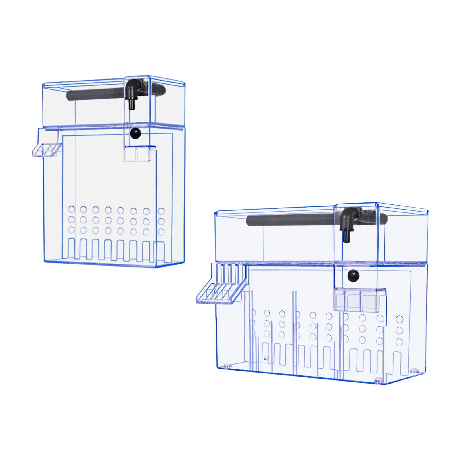 Filtro per Acquario, Separazio - Live Fish Aquarium recensione e prezzo